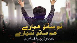 #IslamicView ہمارے پیج کو سبسکرائب کریں۔لبیک یا رسول اللّہ TLP Zindabad