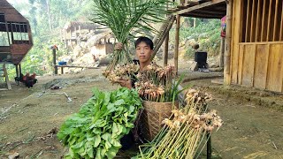 80 Days Living with Russia - Harvest sugarcane, watermelon, green vegetables, and hemp cakes to sell