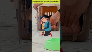 Moral Story Bangla | লোকটি 😳এই বিড়ালগুলোর সাথে 🐈 কেন এমন করছে  #moralstory #helpothers #shorts