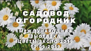 Цветы Экспо 2019