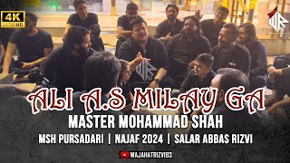 Ali Milay Gah | Master Mohammad Shah | MSH Pursadari | Najaf 2024 | Salar Abbas Rizvi