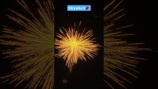 Skyshot🧨#skyshot #skyshots #diwali2024 #crackers #crackersindia #ytshorts #shortsfeed #shorts