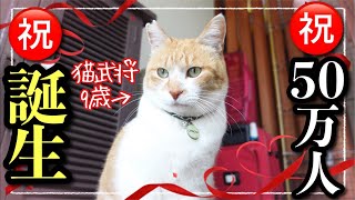 猫武将チャチャうちの子記念＆祝50万人記念ライブ