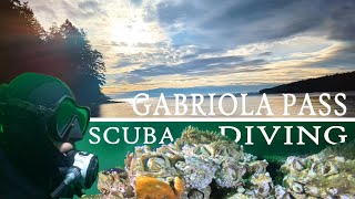 SCUBA Diving Gabriola Pass | Vancouver Island, B.C. Canada