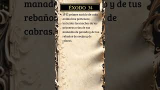 Éxodo 34, 19 #dios #biblia #versiculodeldia