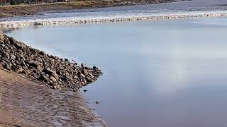 'The Bridge' songwriter, surfer Melvin Pérez, surfing the tidal bore. Please c description 4 details