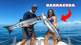 Catching GIANT Barracudas | SouthWest Florida Offshore Fishing