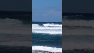 Amazing Windsurfing in Maui