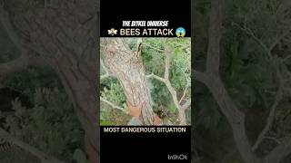 Bees attack human 😱 most dangerous situation #short