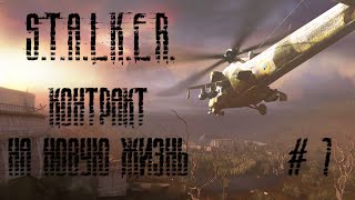 Прохождение S.T.A.L.K.E.R. Контракт на новую жизнь. Часть 7. Тайники