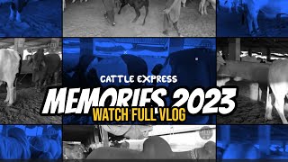 Cattles Paradise 2023 Memories I Heavy Beauties I Haseen Yaadein I Cattles  Express