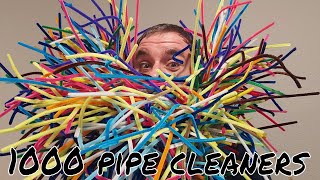 1000 Pipe Cleaners In My Beard