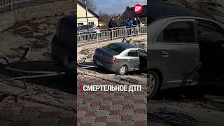 Убийца на иномарке насмерть сбил мальчика на велосипеде в Алексеевском - #ТопДня