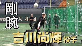 剛腕！吉川尚輝投手