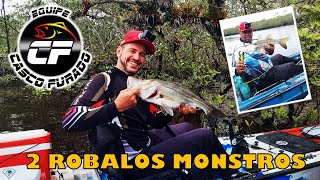 PESCARIA DE ROBALO | SÓ SAIU ROBALO MONSTRO