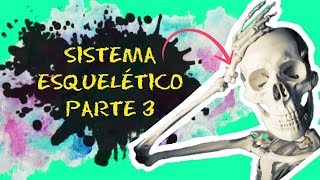 Aula 03: SISTEMA ESQUELÉTICO - PARTE 3 -  Esqueleto axial (crânio, coluna vertebral e tórax)