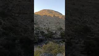 Jabal Al-Akhdar جبل أخضر | Landmark in Oman | #ytshorts #viral #calmdown #oman #muscat #mountain