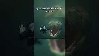 Drivers capture sea monster #youtubeshorts #scary #creepy