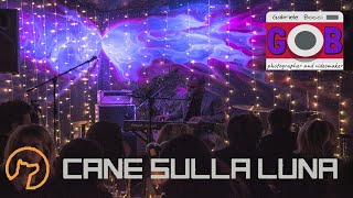 Cane sulla Luna - LIVE - Dateci le brioche