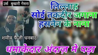 हसनैन के नाना Shamim Raza Faizi Dhanbad #new #rangenaimiofficial #viral #naat #viralvideo #religion