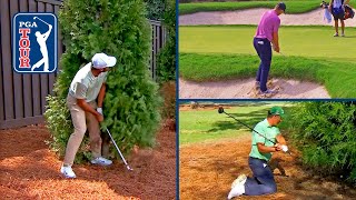 Best ESCAPE SHOTS of 2024 on the PGA TOUR