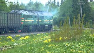 [LDz] 2М62У-0268 (Krustpils, 18.05.2011, Jelgava)