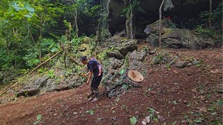 Single mother uses a cave as a house. Clearing grass to grow vegetables in the forest.