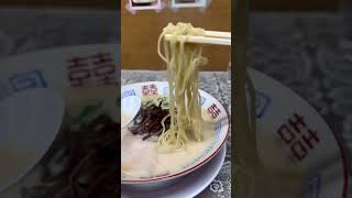 Thick pork bone ramen like cheese and cream【HAKATAGENKIIPPAI】#japanesefood #tonkotsu