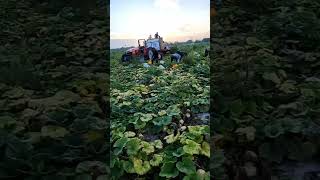 QUE TAL SU DIA FELIZ JUEVES ‼️   #jueves #campo #parati #agricultura #mexico #viralvideo #agro