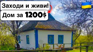 🇺🇦 Заходи и живи! Дом в селе за 1200$ Продажа недвижимости за копейки! Всё есть Уютное тихое село!