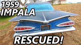 Junkyard 1959 Impala RESCUE + First Wash & Buff in Over 30 YEARS! (Junkyard Rescue)