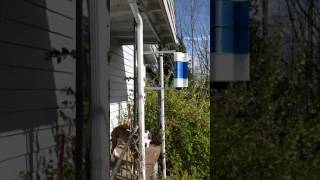 Urgisky wind turbine front porch mount test 1