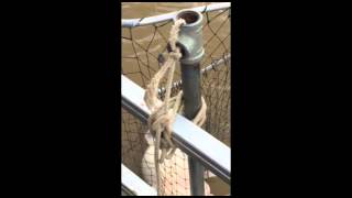 Fishing for blue catfish at Lake Lavon - March 22, 2015