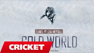 Elinel ft. Lea Metolli - Cold World