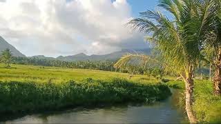 Beautiful landscape in bicol#NATURE