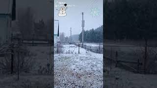 моё видео с тик тока ссылка в описании переходите