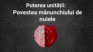 Puterea Unității: Povestea mănunchiului de nuiele