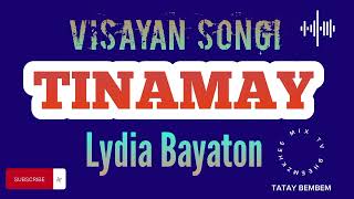 TINAMAY | PARODY SONG | LYDIA BAYATON |#tataybembembheemzkheemixtv