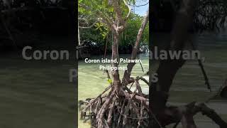 Island hopping in Coron Palawan Philippines