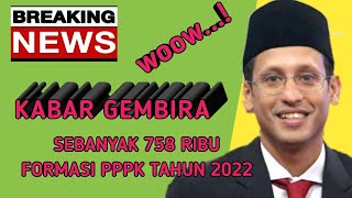 INFO PPPK HARI INI...SEBANYAK 758 RIBU FORMASI PPPK TAHUN 2002