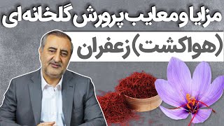 مزایا و معایب پرورش گلخانه ای (هواکِشت) زعفران Pros and Cons of Saffron Greenhouse Cultivation