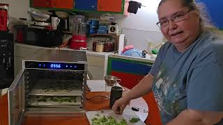 Using the Beast Dehydrator from Denali Canning to make homemade celery seasoning. It's super easy.