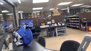 Paleontology Lab fossils