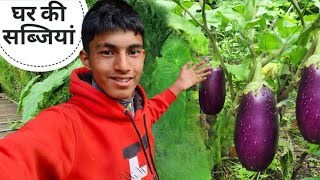 पहाड़ों की स्वादिष्ट एवं पौष्टिक सब्जियां || Pahadi Lifestyle Vlog || Cool Pahadi