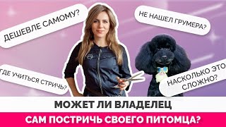 Может ли владелец стричь свою собаку сам? К чему готовится?