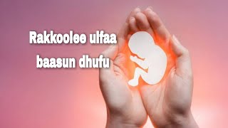 Rakkoolee ulfa hin barbaachifne ofirraa baasun dhufuu danda'an:(Complication of abortion )