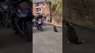 VR46NEPAL Riders || Yamaha YZF R6,R3,R15 V3 || @Suresh_Vlogs_Official