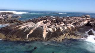 Seal Island Cape Town