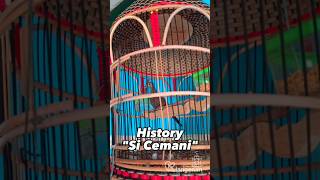 History "Si Cemani" | Perkutut Cemani Gacor #shorts #short