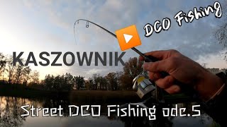 Staw KASZOWNIK i okonie Street @DCOFishing 5